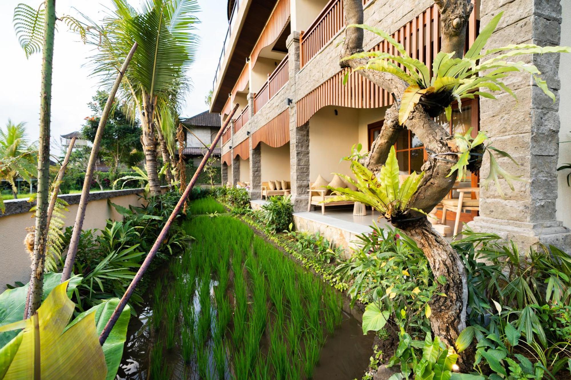 Bliss Ubud Spa Resort Exterior photo