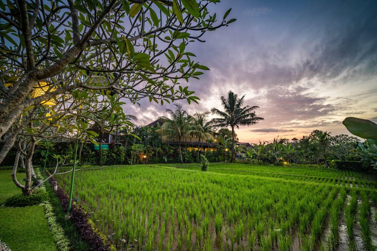 Bliss Ubud Spa Resort Exterior photo